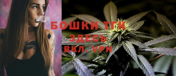 тгк Няндома