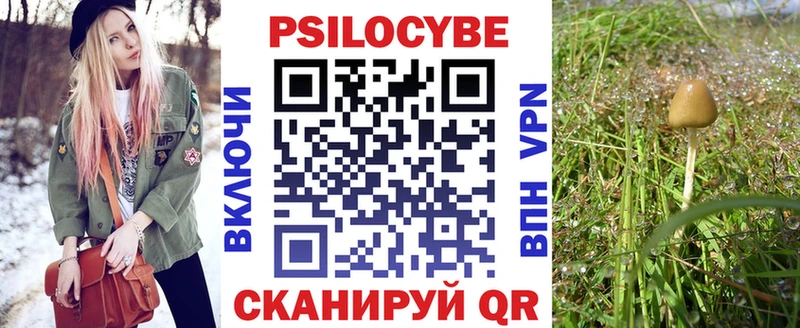 ОМГ ОМГ ССЫЛКА  Рошаль  Псилоцибиновые грибы GOLDEN TEACHER 